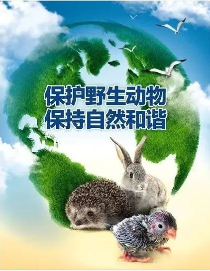 Ʋʹʡ(й)޹˾