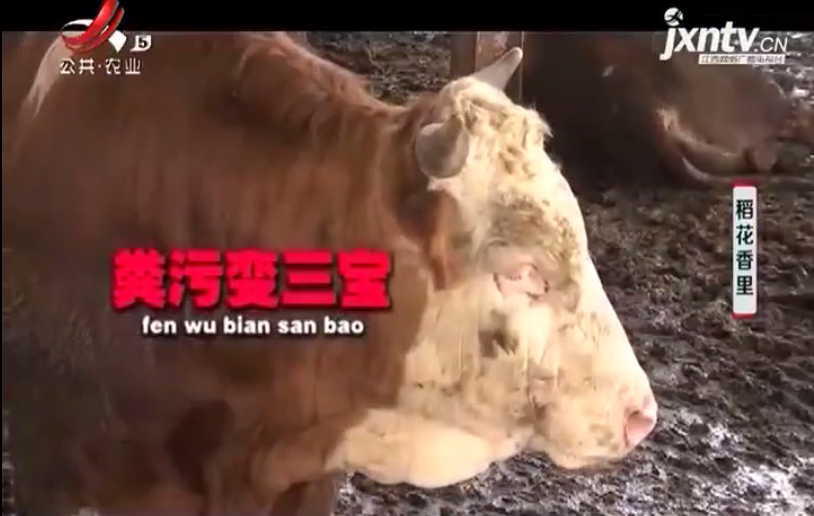 Ʋʹʡ(й)޹˾